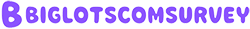 biglotscom